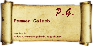 Pammer Galamb névjegykártya